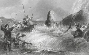 Velryba na břehu (rytina) od H. Melville
