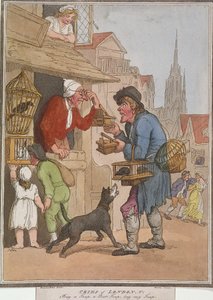 „Kupte si past, past na krysy, kupte si mou past“, deska I of Cries of London, 1799