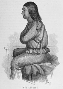 Red Leggins, náčelník ve Fort Yukon, z „Aljašky a jejích zdrojů“, od Williama H. Dalla, vyryl John Andrew, hospoda. 1870