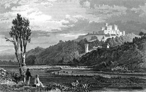 Coltsmans Castle, County Cork, c1800-1850. od H. Winkles