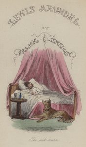 Ilustrace pro Lewis Arundel aneb The Railroad of Life od Franka E Smedleyho (barevná rytina) od after Hablot Knight Browne