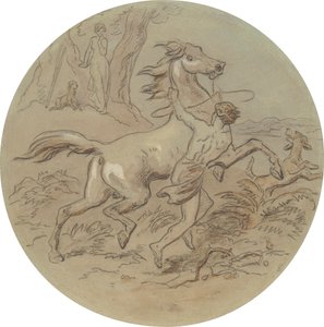 Jeden z osmnácti návrhů pro sérii desek ilustrujících Venuši a Adonise od Hablot Knight Browne