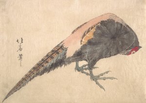 Pták, 30. léta 19. století. od Hakusanjin Hokui
