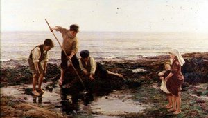 Krevety