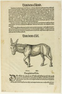 Ilustrace z "Thierbuch", deska 42 z Dřevorytů z knih XVI. století od Hans Asper