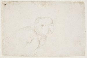Andulka od Hans Baldung Grien