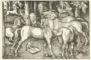 Skupina sedmi koní a opice od Hans Baldung Grien