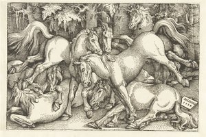Skupina sedmi bojových koní od Hans Baldung Grien