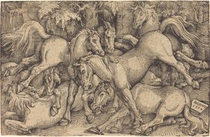 Skupina sedmi koní v lese od Hans Baldung Grien
