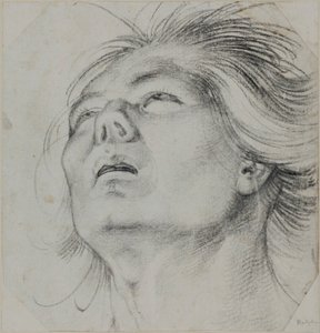 Hlava mladého muže, viděná zdola od Hans Baldung Grien