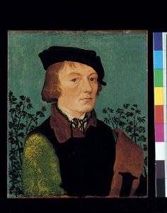 Portrét muže před živým plotem z růží (olej na dřevě) od Hans Baldung Grien