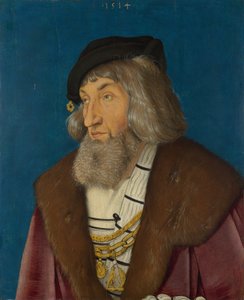 Portrét muže od Hans Baldung Grien