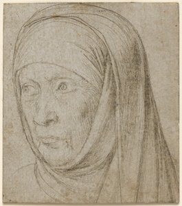 Hlava staré ženy, c. 1500. od Hans Holbein