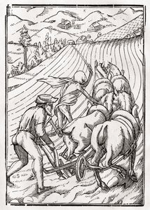 Smrt přichází pro farmáře nebo manžela, vyryl Georg Scharffenberg, z „Der Todten Tanz“, vydaného v Basileji, 1843 od Hans Holbein der Jüngere