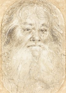 Studie vousatého muže [verso] od Hans Holbein the Elder