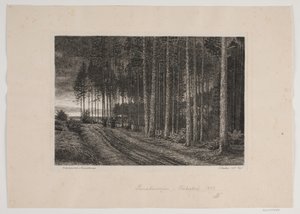 Deštivý den ve smrkovém lese od Hans Julius Fæster