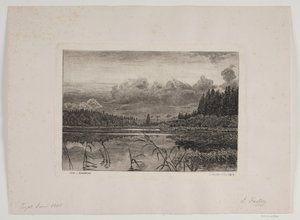 Jezero ve smrkovém lese od Hans Julius Fæster