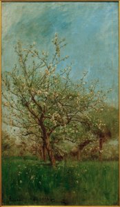Kvetoucí stromy Uerdenbach