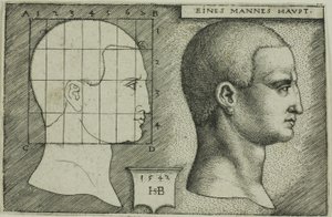 Profilová studie hlavy muže od Hans Sebald Beham