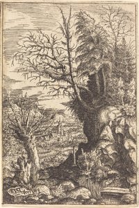 Krajina s vrbou, 1553.