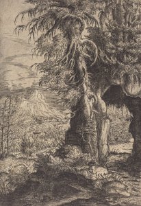 Brána ve skalách, 1554.