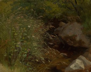 Trávy na břehu potoka od Hans Thoma