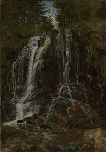 Vodopád u St. Blasienu od Hans Thoma