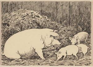 Ilustrace k abecední knížce: Prase od Hans Thoma
