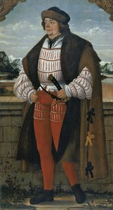 Dvorní šašek známý jako rytíř Christoph, 1515 od Hans Wertinger von