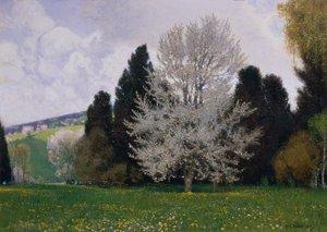 Jaro ve Vídeňském lese od Hans Wilt