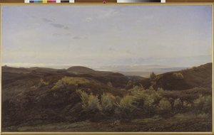 Heather Hills poblíž Rye, Jutsko od Harald Foss