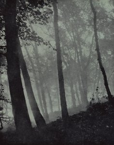 klenuté stezky soumrakových hájů A stíny hnědé Borovice nebo monumentální dub, Milton (č/b foto)