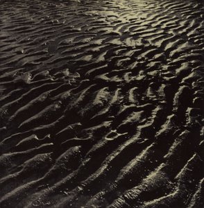 žebrovaný mořský písek, Coleridge (černobílá fotografie)
