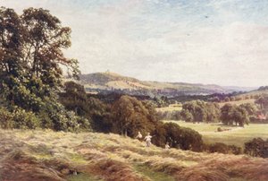 A Hayfield, Wonersh (barevná litografie)