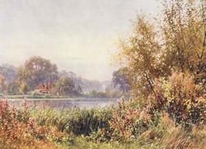 Podzimní plevel, Chilworth (barevná litografie)