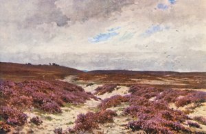 Frensham Common (barevná litografie) od Harold Sutton Palmer