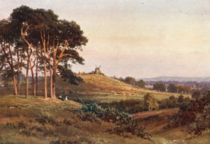 Reigate Heath, večer (barevná litografie) od Harold Sutton Palmer