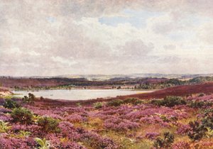 Velký rybník, Frensham (barevná litografie) od Harold Sutton Palmer
