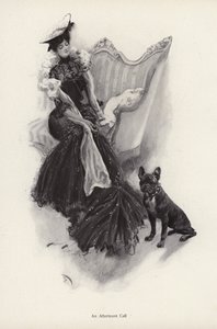 Žena na odpoledním společenském hovoru (litho) od Harrison Fisher