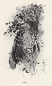 Žena trhá květiny s mužským obdivovatelem (litho) od Harrison Fisher