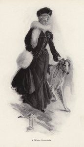 Žena venčí svého drsného psa kolie v zimě (litho) od Harrison Fisher