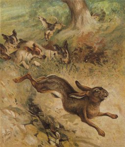 Útěk pro život (chromolitho) od Harrison William Weir