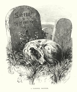 Závěsný od Harrison William Weir