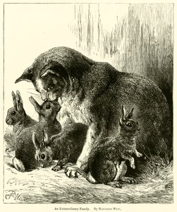 Výjimečná rodina od Harrison William Weir