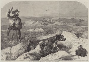 Odstřel tetřeva (rytina) od Harrison William Weir