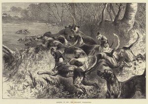 Odpalte to, Mid-Kent Staghounds od Harrison William Weir