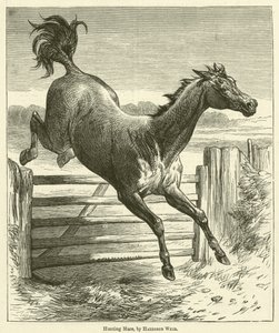 Lovecká klisna od Harrison William Weir
