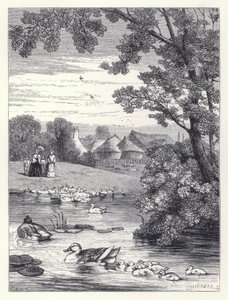 Kachní rybník (rytina) od Harrison William Weir