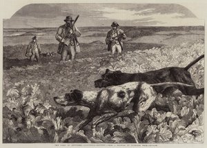 První září, střelba na koroptve (rytina) od Harrison William Weir