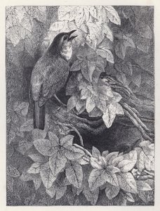 Závěsný od Harrison William Weir